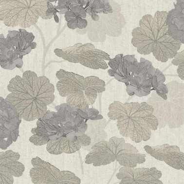 Geranium 37003