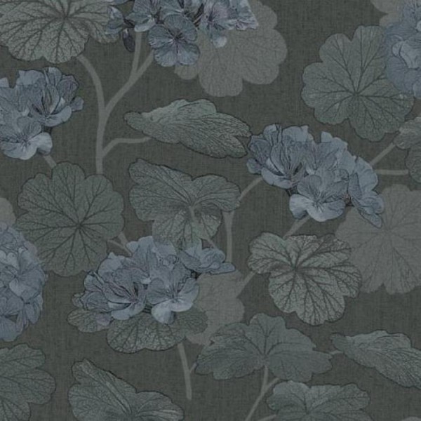 Geranium 37005 Geranium 37005
