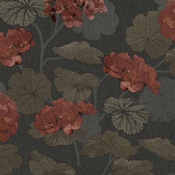 Geranium 37006 Geranium 37006