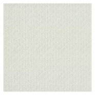 Woven Texture Grasscloth HC7581