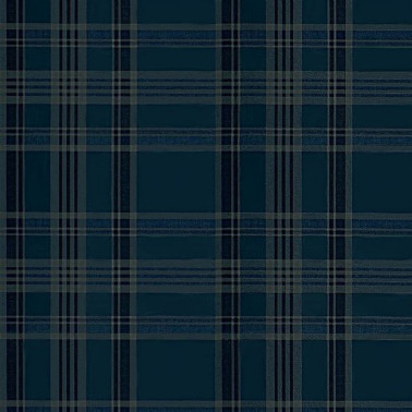 Deerpath Trail Plaid Indigo PRL5020-04