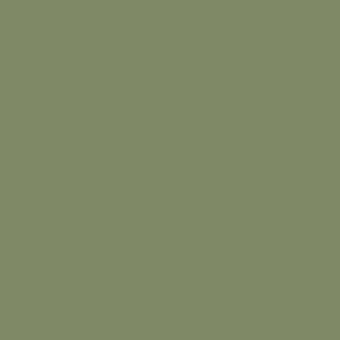 Colour Box Velvet Olive F111-11042