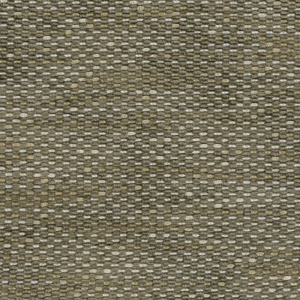 Tartuffe ncf4311-03