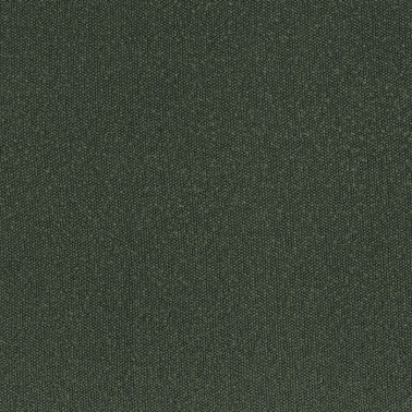 Taiga 45941135