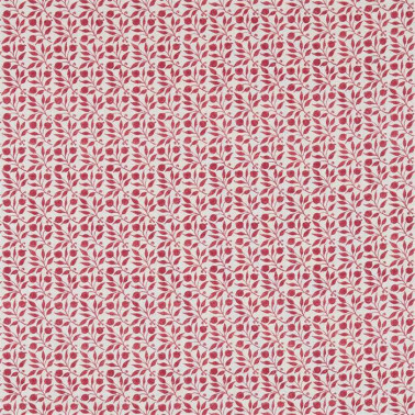 Rosehip 226692