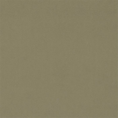 Dorton 237007
