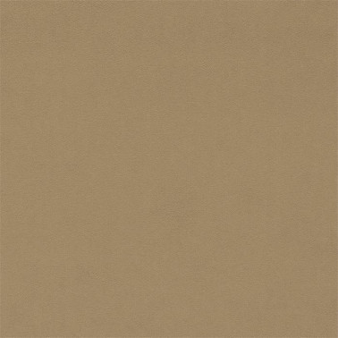 Dorton 237009
