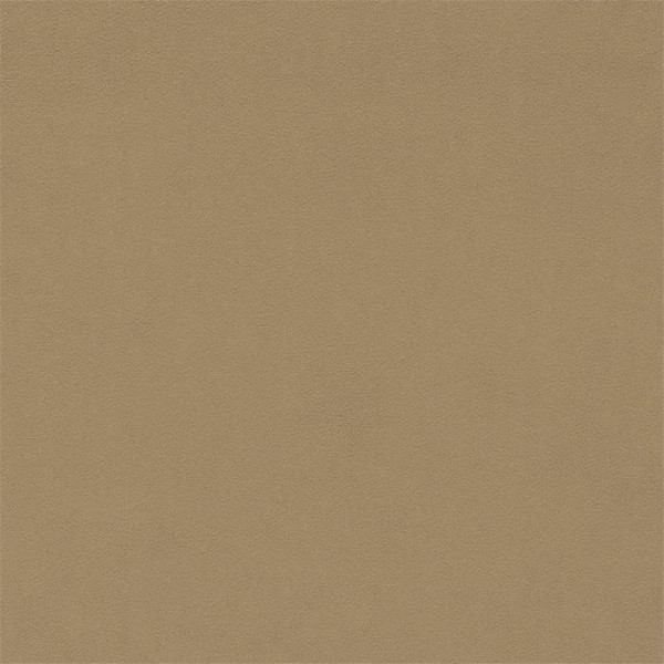 Dorton 237009