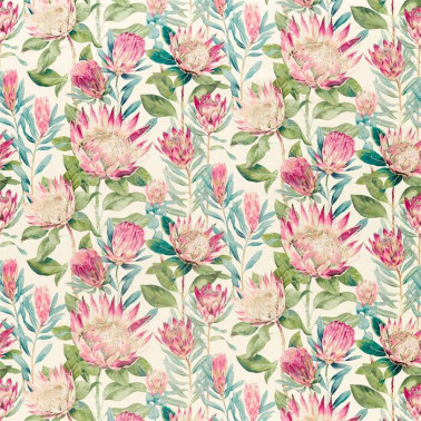 King Protea 226573
