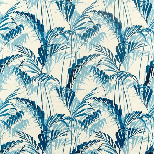 Palm House 226569 Palm House 226569