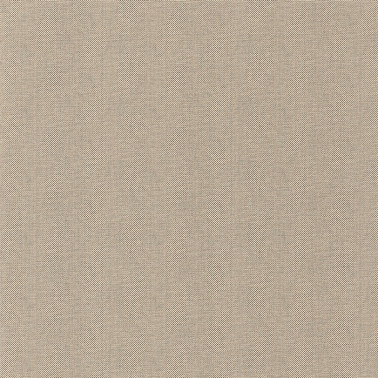 101561904