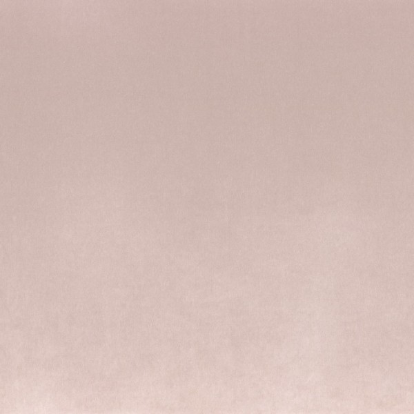 Sorbet 43992186 Sorbet 43992186