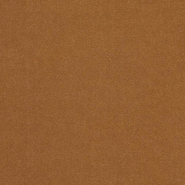 Rivoli Camel 04982-59