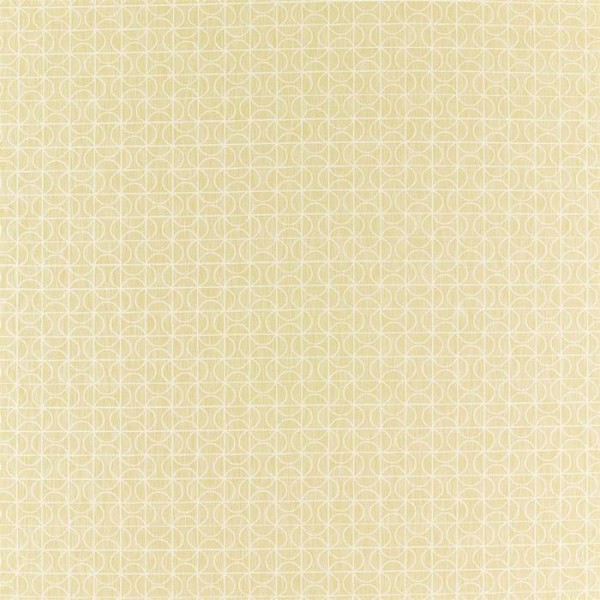 Notion 132935 Notion 132935