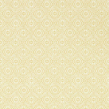 Pinjara Trellis DLMW216907