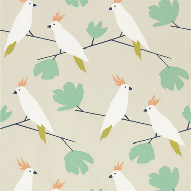 Love Birds 112219