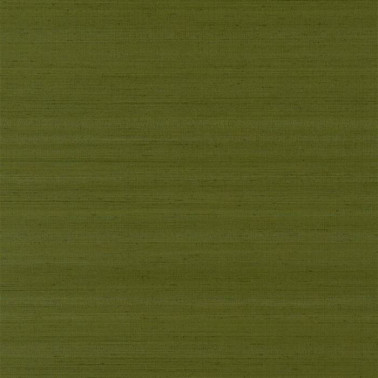 Chinon Sage PDG1119-20