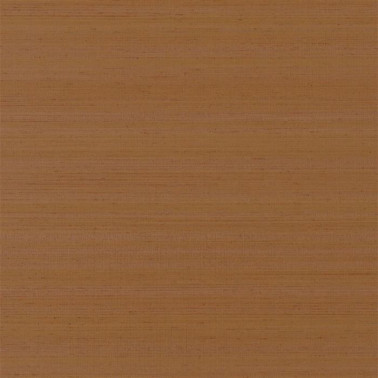 Chinon Spice PDG1119-09