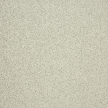 Nervure 26210113