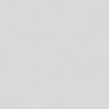 Color Dawn BLONE10031