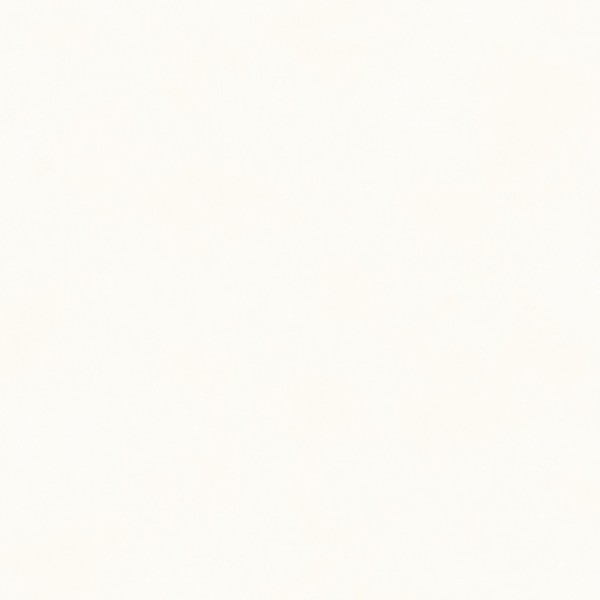 Color Egret BLONE10011 Color Egret BLONE10011