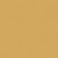 Color Gold BLONE101111