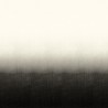 Shady Ink DG2SHA107
