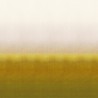Shady Sun DG2SHA102