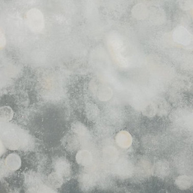 Betula Quartz W613-02