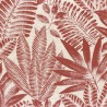 Aloes 75183682