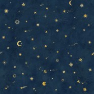 Mural 659-96 Starry Sky Petrol