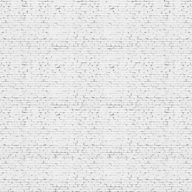 Grunge Brick Wall DOM404