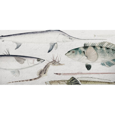 White Brick Wall & Fish DOM401