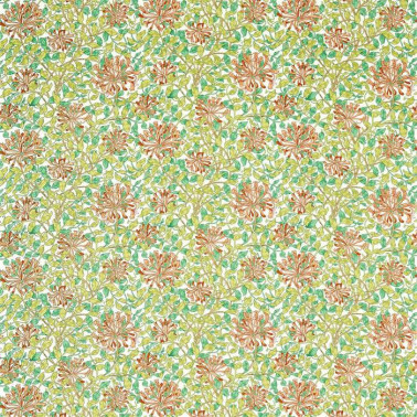 Honeysuckle 226850
