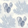 Nauset Blue Coastal Beach Seashell EC81202