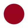 PINOT NOIR 119