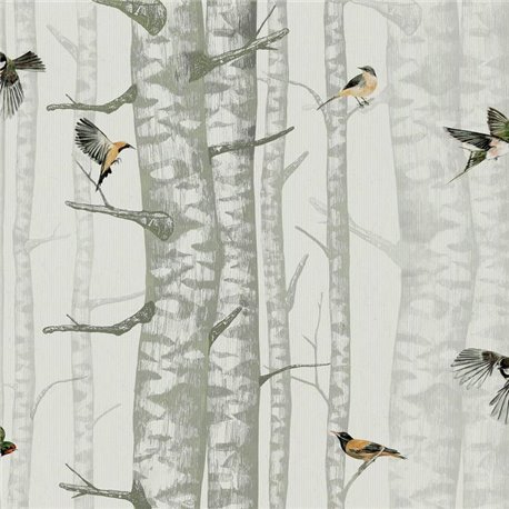 Birch Trees Silvester 9500042 Birch Trees Silvester 9500042