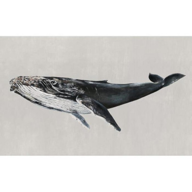 Humpback Whale Grey 9500103