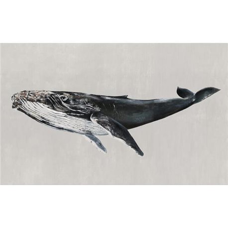 Humpback Whale Grey 9500103