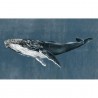 Humpback Whale Vintage 9500101 - Mural
