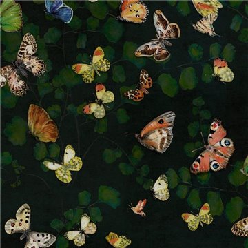 Magic butterflies Night 9500050