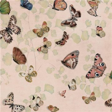Magic butterflies Sweet 9500052