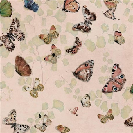 Magic butterflies Sweet 9500052 Magic butterflies Sweet 9500052