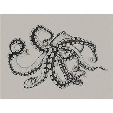 Octopus X Ray Ink 9500800