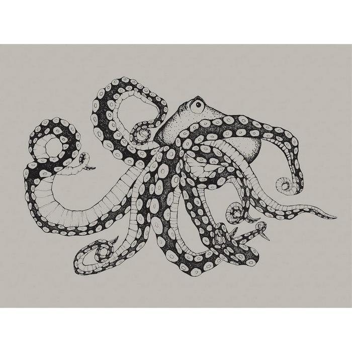 Octopus X Ray Ink 9500800