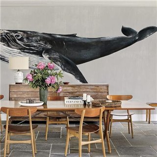 Humpback Whale Grey 9500103