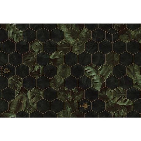Hexagon Leaves R17181
