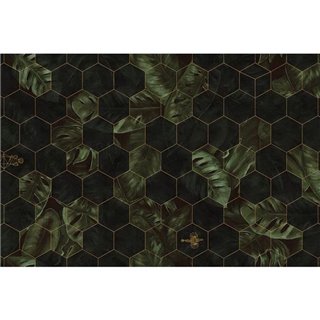 Hexagon Leaves R17181