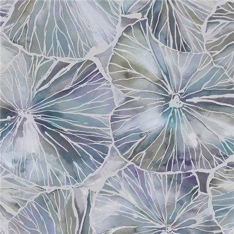Nelumbo Lunar Wallart 1518621823 Nelumbo Lunar Wallart 1518621823