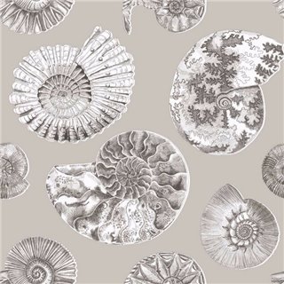 Fossilium Sepia